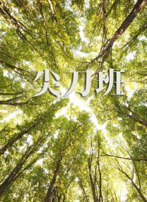 成人午夜视频在线